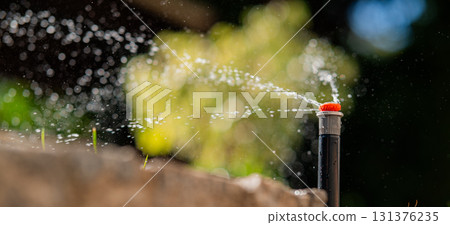 A sprinkler system is watering the lush grass, demonstrating effective irrigation and quality garden care A sprinkler system is watering the lush grass, demonstrating effective irrigation and quality garden care 131376235