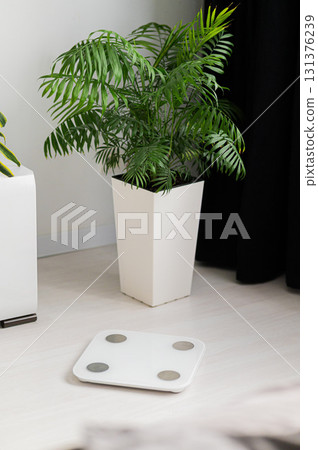 A Modern Scale Featured in a Contemporary and Stylish Setting for Your Home Decor 131376239