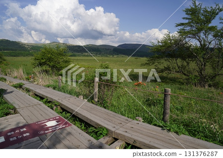 2025年6月19日，從西邊的長廊看到的霧峰屋島濕地 131376287