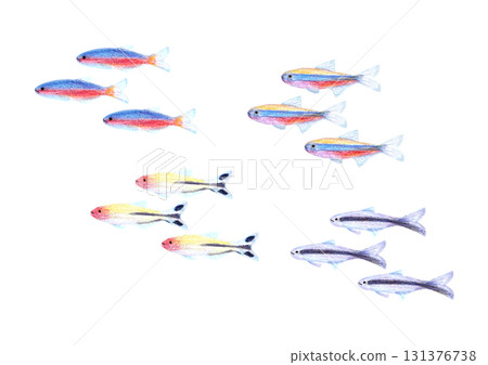 School of fish 131376738