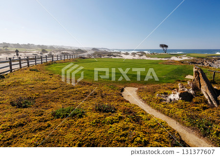 Scenic view of California 17-Mile Drive on a sunny day 131377607