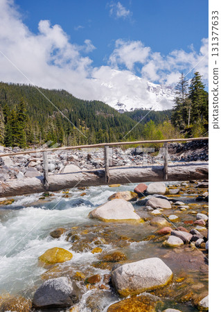 Majestic Mount Rainier rising above forests and river in the national park 131377633