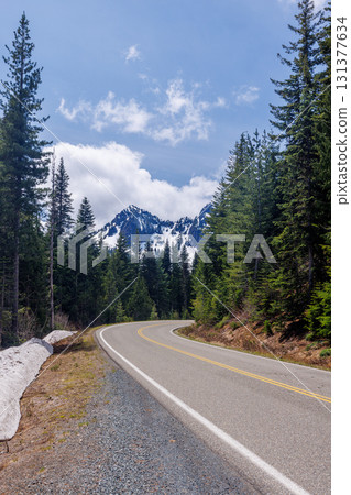 Scenic road in Mount Rainier National Park with fir trees on both sides and a snowy mountain 131377634