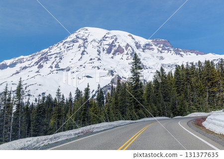 Scenic road in Mount Rainier National Park with fir trees on both sides and a snowy mountain 131377635