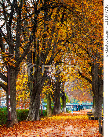 uzhhorod, ukraine - nov 04, 2007: urban landscape. wet street of the old town after rain. with trees in orange foliage 131377730