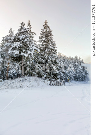 Bansko, Bulgaria resort panorama with snow cannon 131377761