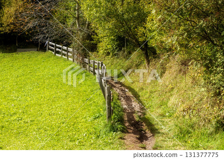 Santa Maddalena hiking path, Dolomites, Italy 131377775