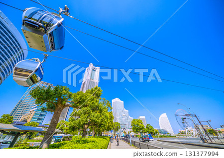 Yokohama cityscape in Japan. The tops of the roadside trees have been cut down... A roadside tree in the ropeway's path. The tops have been cut down. 131377994