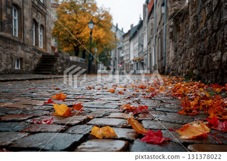 歐洲古鎮鵝卵石上的落葉 歐洲古鎮鵝卵石上的落葉 131378022