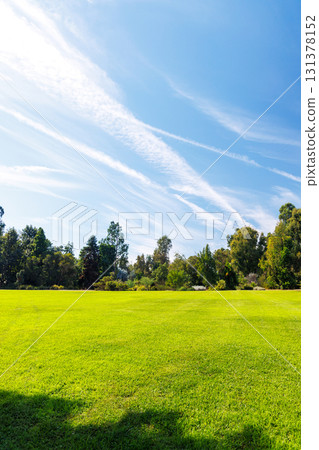 A vast green grass meadow stretching towards the horizon with a trees A vast green grass meadow stretching towards the horizon with a trees 131378152