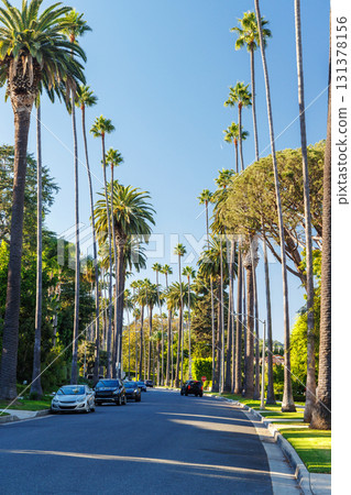 Iconic Beverly Hills street lined with towering palm trees under a bright sunny sky Iconic Beverly Hills street lined with towering palm trees under a bright sunny sky 131378156
