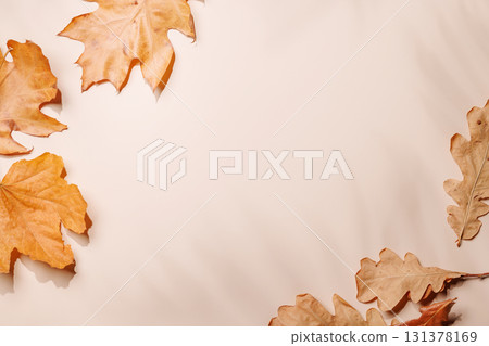 Beige background surrounded by autumn yellow leaves, seasonal backdrop 131378169