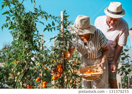 Senior couple working in garden as hobby. Senior couple working in garden as hobby. 131378255