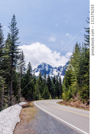 Scenic road in Mount Rainier National Park with fir trees on both sides and a snowy mountain 131378283