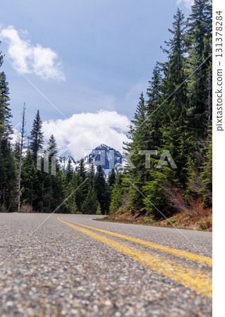 Scenic road in Mount Rainier National Park with fir trees on both sides and a snowy mountain 131378284