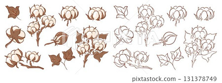 Hand drawn cotton plant set with bolls, leaves and branches in line art style isolated on white background for textile, botanical and decorative design. 131378749