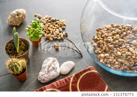 Close up view of natural materials and decorative elements prepared for creating a closed florarium or glass ecosystem. Concept of DIY plant design, eco-conscious living and creative home projects. Close up view of natural materials and decorative elements prepared for creating a closed florarium or glass ecosystem. Concept of DIY plant design, eco-conscious living and creative home projects. 131378773