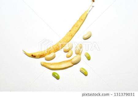 Bean pods and seeds. 131379031
