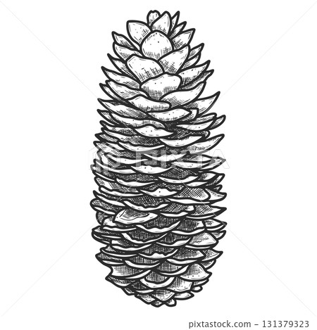 Hand drawn fir cone. Holiday decor. Vector illustration. Hand drawn fir cone. Holiday decor. Vector illustration. 131379323