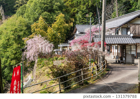 龍寶寺高澤觀音寺院內的春景 131379788