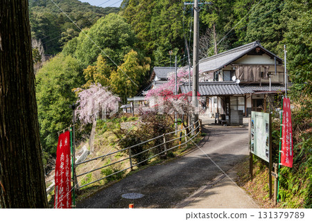 龍寶寺高澤觀音寺院內的春景 龍寶寺高澤觀音寺院內的春景 131379789