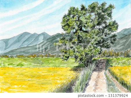 一棵樹矗立在稻田裡 一棵樹矗立在稻田裡 131379924