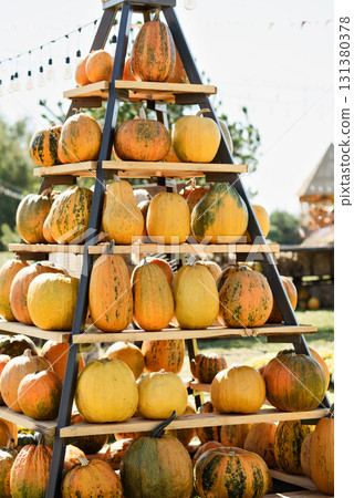 Autumn Harvest Pumpkin Arrangement at Outdoor Event. Large pyramid structure filled with orange pumpkins on wooden shelves at autumn harvest festival outdoors Autumn Harvest Pumpkin Arrangement at Outdoor Event. Large pyramid structure filled with orange pumpkins on wooden shelves at autumn harvest festival outdoors 131380378