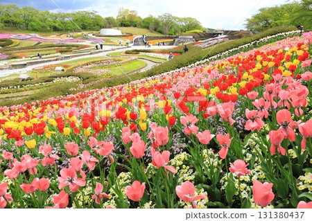 國家湖濱森林公園 2025 131380437