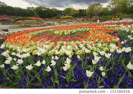 國家湖濱森林公園 2025 131380438