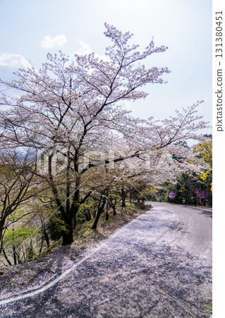 春日龍寶寺高澤觀音寺週邊的風景 春日龍寶寺高澤觀音寺週邊的風景 131380451