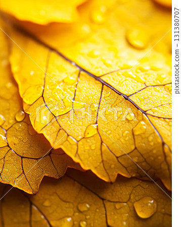 Close up of a vibrant yellow autumn leaf with delicate raindrops. AI Generated. 131380707