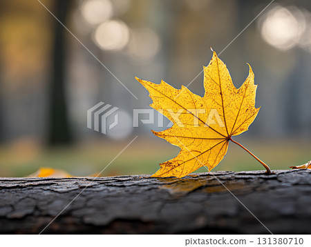 A yellow leaf on a bark of a tree. beauty of the changing season. AI Generated. A yellow leaf on a bark of a tree. beauty of the changing season. AI Generated. 131380710