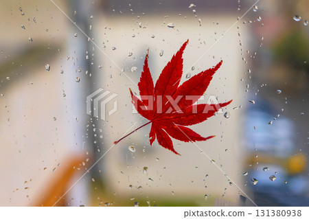 Red maple leaf stuck on glass window with raindrops during gloomy autumn weather. Concept of fall melancholy, nature beauty, rainy day mood 131380938