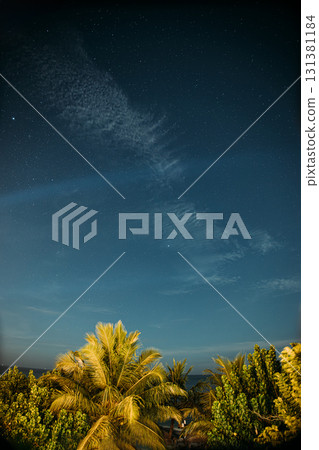 Starry Night Sky Over Lush Tropical Palm Trees Starry Night Sky Over Lush Tropical Palm Trees 131381184