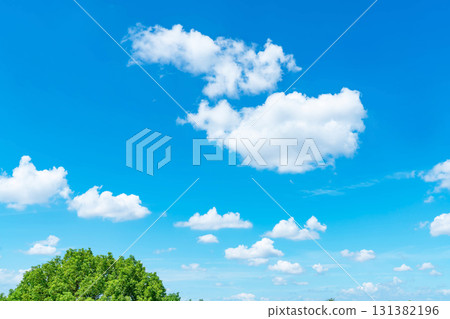 Blue sky, clouds and grove Blue sky, clouds and grove 131382196