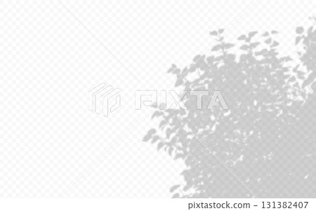 Shadow overlay from a lilac bush isolated on a transparent background. 131382407