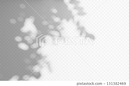 Abstract shadow overlay from foliage tree branch on a transparent background. 131382469