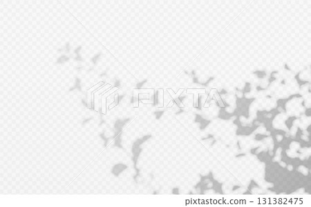 Abstract shadow overlay from foliage tree branch on a transparent background. 131382475