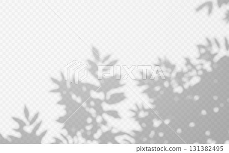 Abstract shadow overlay from foliage tree branch on a transparent background. 131382495