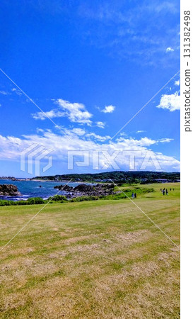 Summer sea: Tanesashi Coast with natural grass 131382498