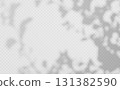 Shadow overlay of abstract foliage branch on transparent background 131382590