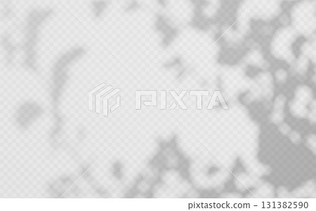 Shadow overlay of abstract foliage branch on transparent background 131382590