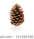 Brown pine cone isolated on white background with reflection. Stock photo. 131383106