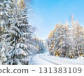 Winter Forest Road with Snow. Stock photo. 131383109