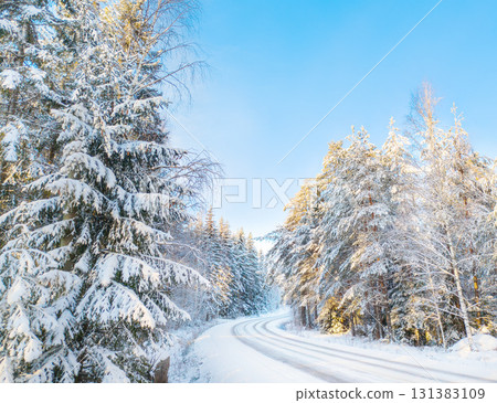 Winter Forest Road with Snow. Stock photo. Winter Forest Road with Snow. Stock photo. 131383109