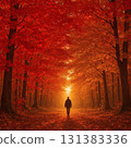 一個人走在鮮紅的紅葉隧道中 夢幻般的秋季林蔭路 131383336