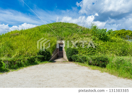 Fujinoki Tomb Historic Site, Ikaruga Town, Nara Prefecture 131383385