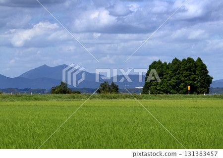 浪漫的茨城(從霞浦湖畔的大須津田園公園眺望筑波山。湖邊微風拂過,令人心曠神怡。)美保村 浪漫的茨城(從霞浦湖畔的大須津田園公園眺望筑波山。湖邊微風拂過,令人心曠神怡。)美保村 131383457