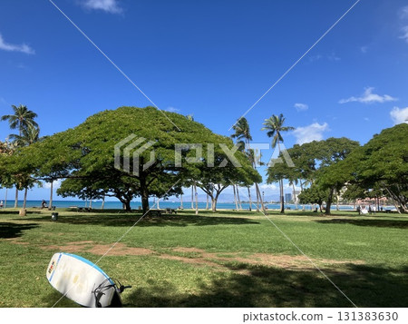 夏威夷卡皮歐拉尼公園 131383630