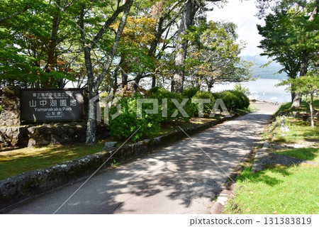 山梨縣：山中湖公園的告示牌、散步道、濃蔭蔽日 131383819